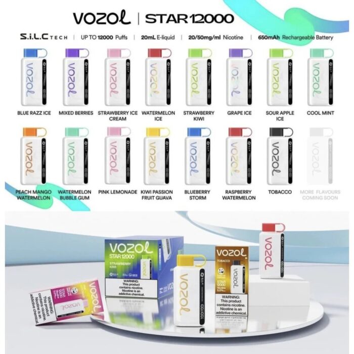 Vozol 12000 Puff Bar